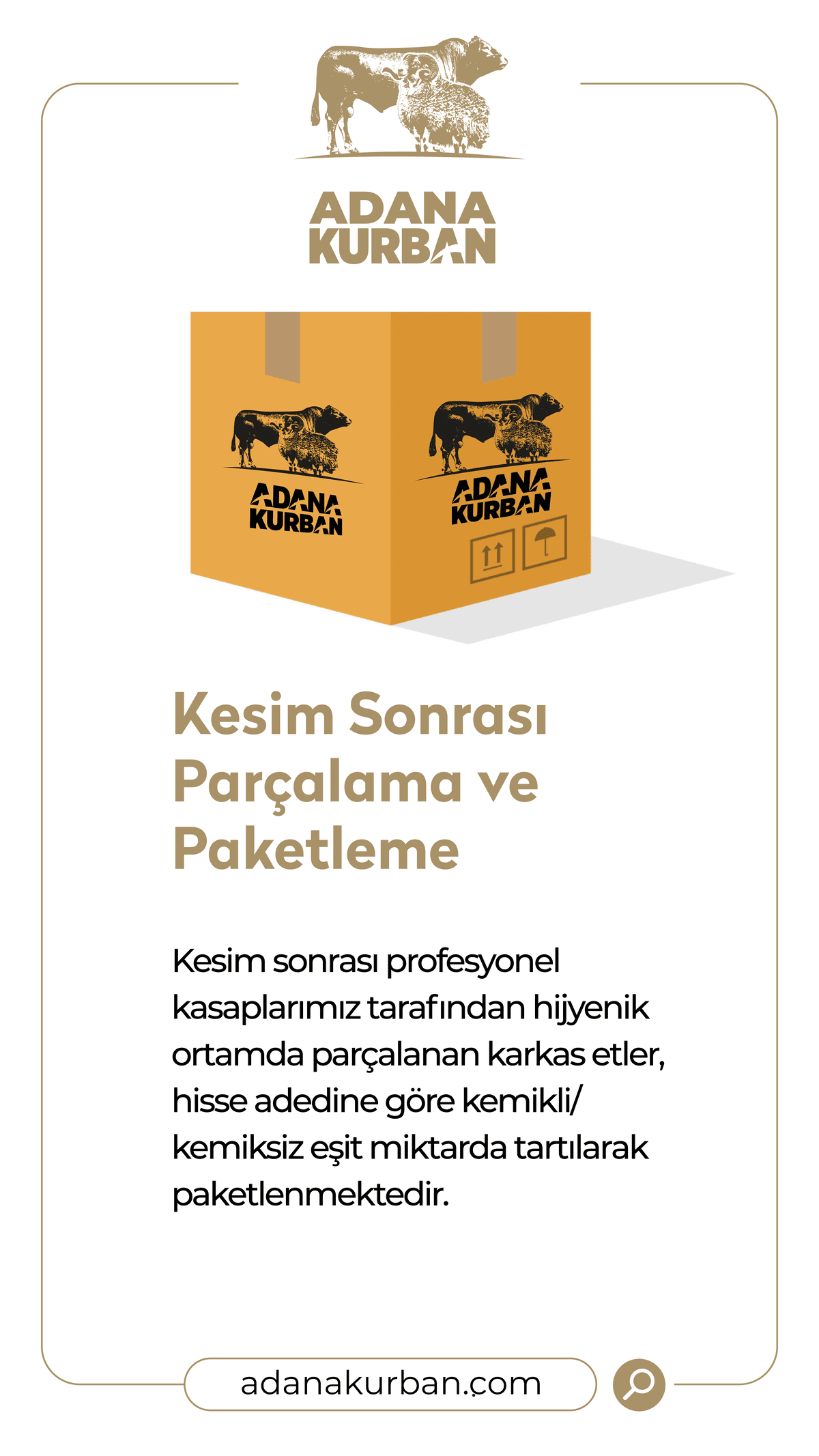 Kesim Sonrası Parçalama ve Paketleme