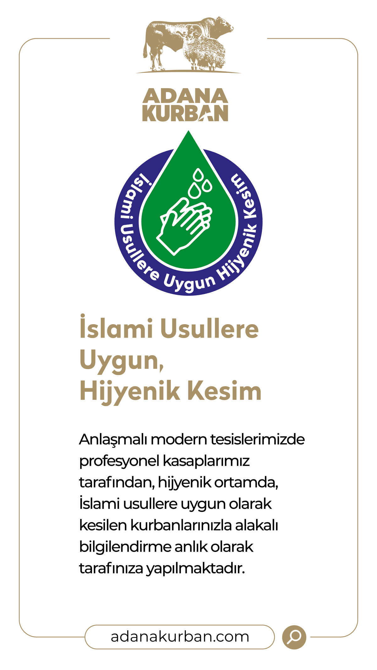 İslami Usullere Uygun, Hijyenik Kesim