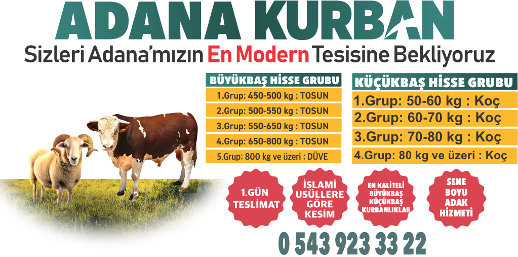 Sarıçam Kurban - Küçükbaş ve Büyükbaş Hisse Kategorileri